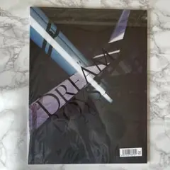 ドリームボーイズ パンフレット【菊池風磨・田中樹】