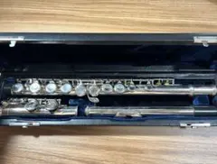 Item thumbnail for item b4170f5d-f688-4373-9800-941603e65709