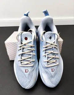 LI-NING WOW The Dlo2 アイスチップスUS 7.5/25cm - メルカリ