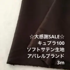 R9L/5822◆3m 感謝祭/キュプラ100%ソフトサテン生地/アパレル