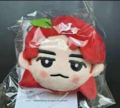 ミセス 韓国 ぬいぐるみ ミセスグリーンアップル 韓国 ぬいぐるみ 3個セット