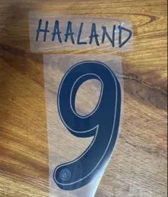 マンチェスターシティ ハーランド 24-25 マーキング 在庫ラスト