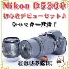 Nikon D5300 デジタル一眼レフ シャッター数4000回
