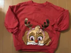 パウパトロール　スカイトレーナー 赤