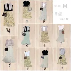 清楚女子コーデ　5点セット　まとめ売り　レディース服