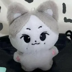 ジョンウォン ぬいぐるみ 7cm 10cm 2個セット ヤンコミ ENHYPEN - メルカリ