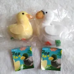アヒルとマガモのぬいぐるみ　アヒル　メス　あかちゃん