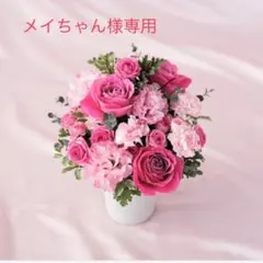 メイちゃん様専用