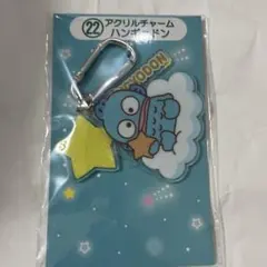 サンリオくじ アクリルキーホルダー ハンギョドン