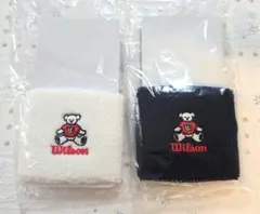 Item thumbnail for item a72728e4-5bd6-4724-bbd3-5e285ed07af0