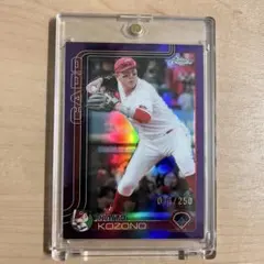 Item thumbnail for item 6baca995-d9ec-411b-a0aa-c26f20c92d77