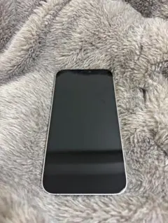 iPhone12 Pro シルバー