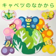 キャベツの中から　ペープサート　お誕生日会　保育教材　春　【2】