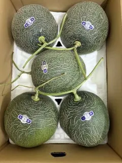 期間限定特価 冷蔵便】夕張メロン個選品5玉8kg 1玉約1.6kg※関東価格