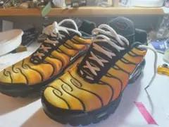 NIKE エアマックスプラス 27cm（目立った傷や汚れなし・マップラ）のサムネイル