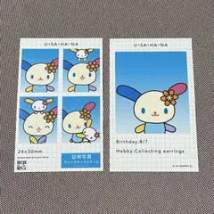 サンリオ 証明写真風スマロイド ウサハナ