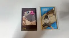 鬼滅の刃 嘴平伊之助 カード