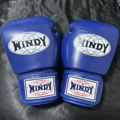 WINDY ボクシンググローブ BGVH 12oz ブルーのサムネイル