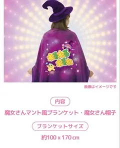 懸賞　当選品　新品未開封　ねるねるねるね 魔女さんなりきりブランケットセットのサムネイル