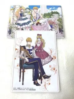 ある日、お姫様になってしまった件につい て　アニメイト　ビジュアルボード　セット