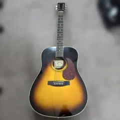 Aria アコースティックギター ADW 250 VS Aria アコースティックギター ADW 250 VS - メルカリ