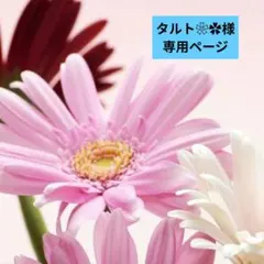 ★タルト❀✿様専用ページ★