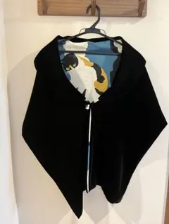 Item thumbnail for item 2566cd2d-e91c-424c-aef4-fab128ade9e7