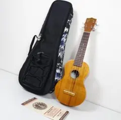 Item thumbnail for item 8c4d09f1-d67f-446f-85ca-5451eff9a8ab