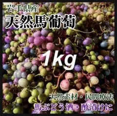 天然ノブトウ　馬ぶどう　山菜　薬草　京都府の山に 天然ノブトウ 馬ぶどう 山菜 薬草 京都府の山に