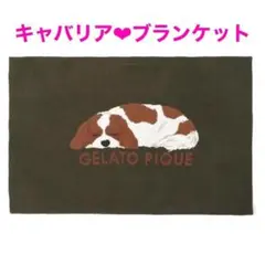 ジェラートピケ　コーギーブランケット ジェラートピケ SLEEPING DOG ジャガードブランケット コーギー