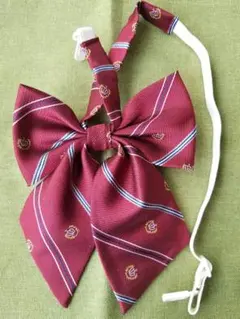 Item thumbnail for item a5183810-886b-4813-800d-078eab5b542e