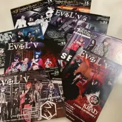 V系 ビジュアル系 フライヤー EvoL’v & littleHEARTS