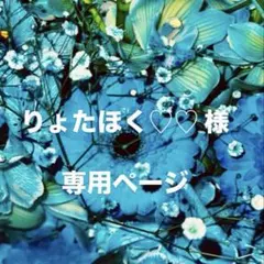 りょたほく♡♡様専用