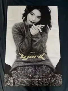 1995年 Bjork ビョーク アルバム「POST」 Tシャツ ロンT - メルカリ