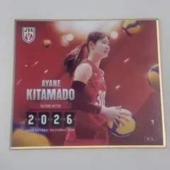 そ*ま様 北窓絢音選手 バレーボール女子日本代表 2026 トレーディング