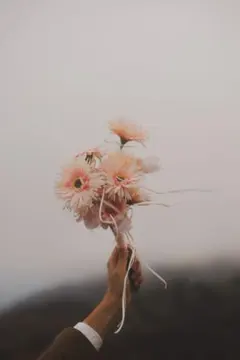 Item thumbnail for item bd54d249-72ad-456a-9c07-a36bc5fa5071