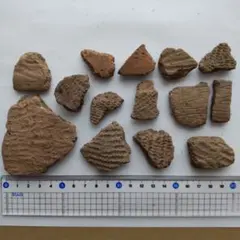 「土器の欠片 縁の部分 No.660」です。 土器の欠片 縁の部分 No.748」です。 - メルカリ