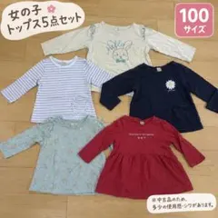 女の子 トップス 5点セット 100cm 長袖 カットソー