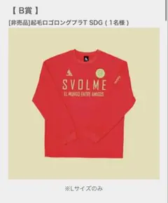 SVOLME [非売品]起毛ロゴロングプラT SDG