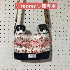 ロボホン RoBoHoN ハンドメイド　キャリーショルダーバッグ Ver.2】ロボホン専用サイズ_お出かけキャリーバッグ_ティールブルー