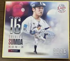 埼玉西武ライオンズサイン色紙　　　　　隅田選手武内選手など 埼玉西武ライオンズ 隅田知一郎 直筆サイン色紙 - メルカリ