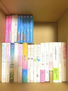 ケータイ小説 25冊セット