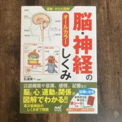 Item thumbnail for item 5dd86e46-aae6-4ee6-b94f-02911bb938b1