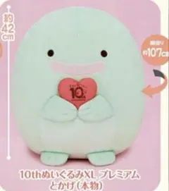 すみっコぐらし 10th ぬいぐるみ XL プレミアム とかげ 本物