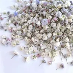 ASHIMI様 リクエスト 3点 まとめ商品