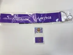 LIKIYA サイヘリ ガチャガチャ ビッグバッグタグ アクリルマグネット