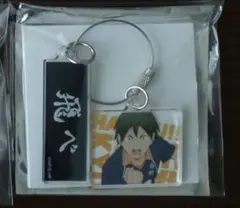 ハイキュー全国遠征 山口忠 アクリル2連
