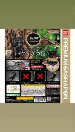 いきもの大図鑑 クワガタ02