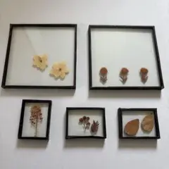 押し花アート