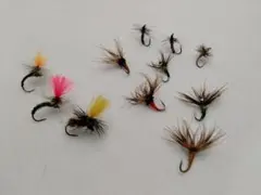 Item thumbnail for item 92660f48-ecb5-40ed-8000-db27f9bbd989